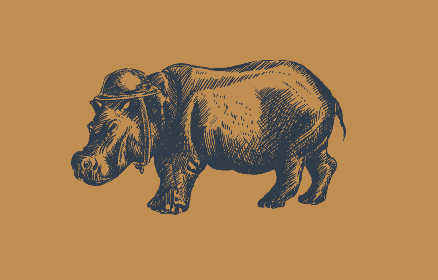 hippo illustration